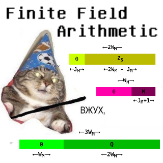 Finite Field Arithmetic