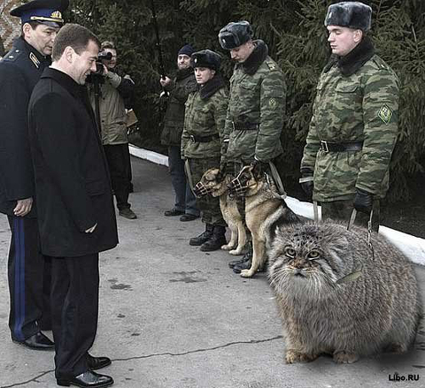 Manul Inspection.